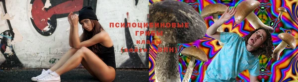каннабис Аркадак